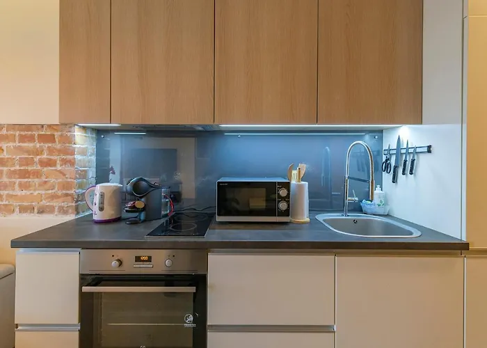 Apartamento Deluxe River View By Polo Kaunas